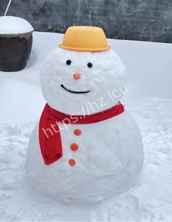 不是雪人是白月光梗